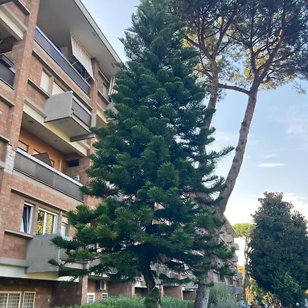 Terracitoroma Daire